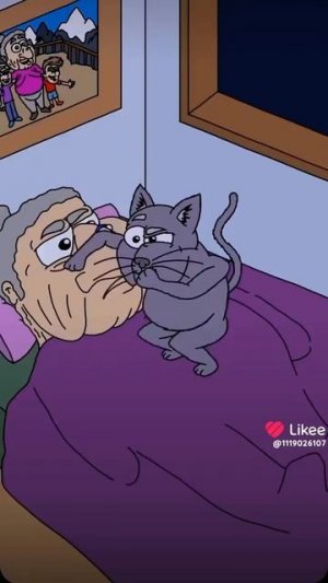 🐈🐈🐈😂😂😂🤣🤣🤣🐈🤣🤣😂😂