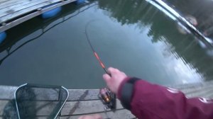 РЫБАЛКА ОГОНЬ ЕСИНО 28.03.2026