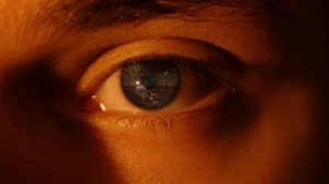 Буторин Назар. Гаджиев Тимур "Не жалею, не зову, не плачу"