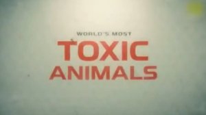 Самые ядовитые животные