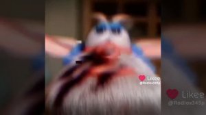 Буба шестой эдит