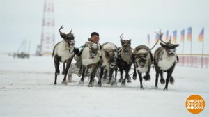 А олени - лучше! Доброе утро. Фрагмент выпуска от 06.04.2026