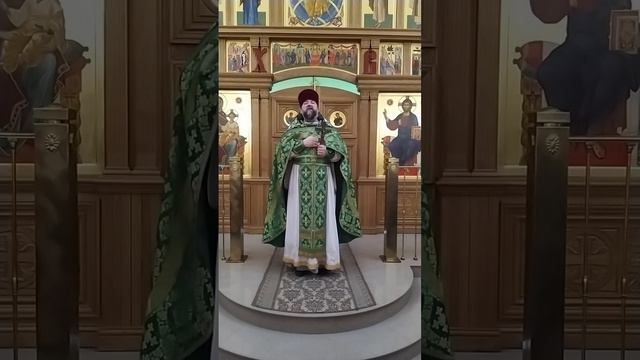 Вход Господень в Иерусалим. О внешней и внутренней духовности. Проповедь о. Андрея. 5.4.26