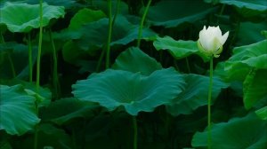 Что произойдёт 7 апреля. Этот день все изменит.