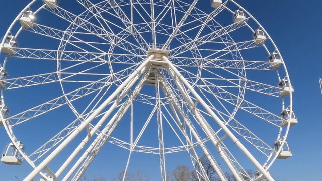 Анапа. Апрель. Море Чёрное и море цветов. 5 апреля