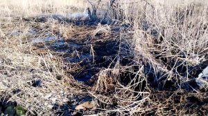 Качать воду или нет и хочется и колется 🤔