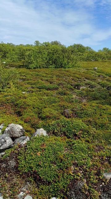 Соловки. Таинственные лабиринты Большого Заяцкого острова.