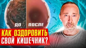 Живые бактерии из йогуртов попадая в ЖКТ не закрепляются там!