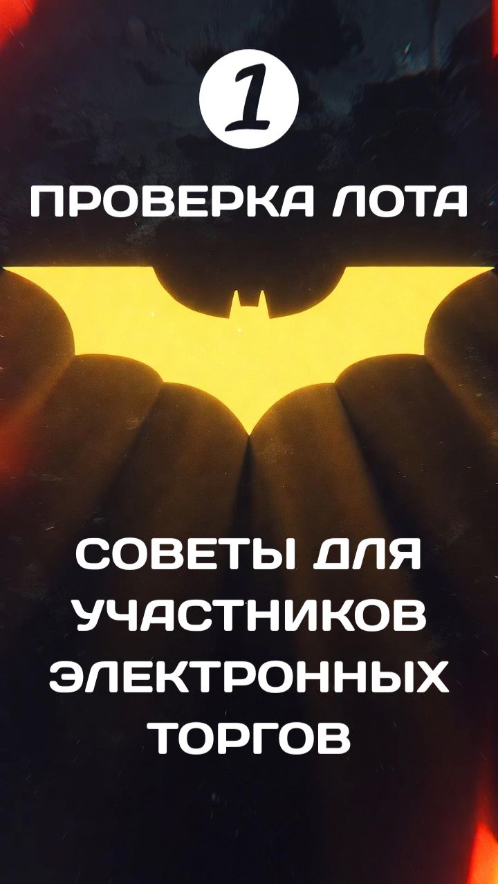 Советы для участников электронных торгов: проверка лота 🚘