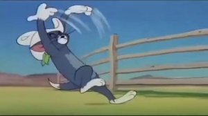 Том и Джерри