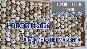 НОВОСТИ 2026 ИНТЕРНЕТ МАГАЗИН
