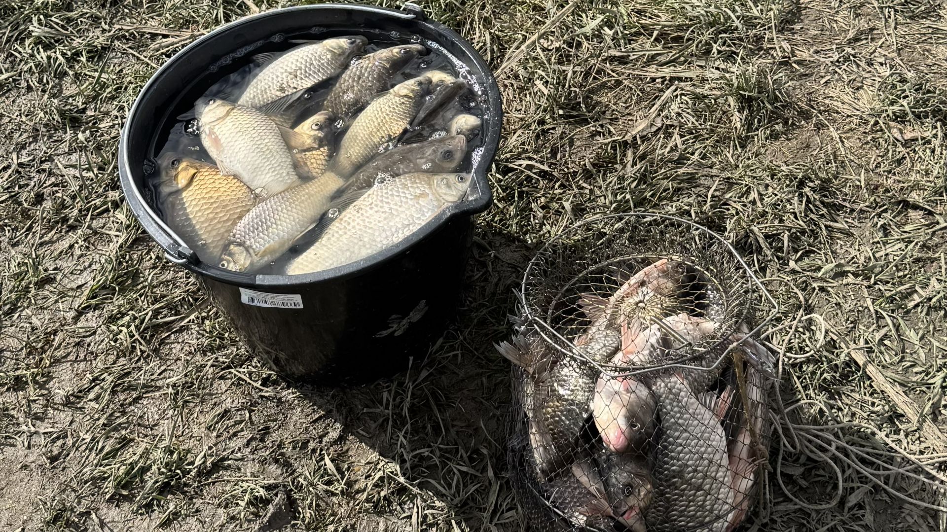 Боковой кивок & поплавок! Рыбалка в хуторе Верхний!