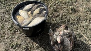 Боковой кивок & поплавок! Рыбалка в хуторе Верхний!