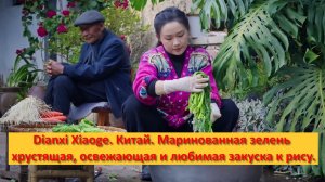 Dianxi Xiaoge. Китай. Маринованная зелень — хрустящая, освежающая и любимая в Юньнани закуска к рису