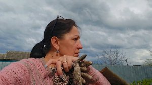 ✨️Кругом обман✨️Суп из детства✨️Навожу порядки✨️