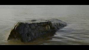 Кинг Конг против Анаконды (2026)