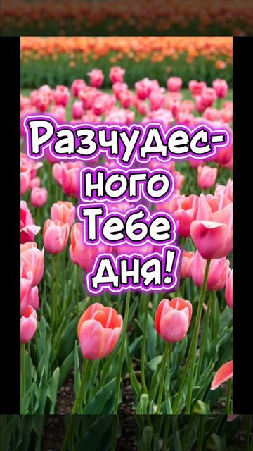 🌅С добрым утром!