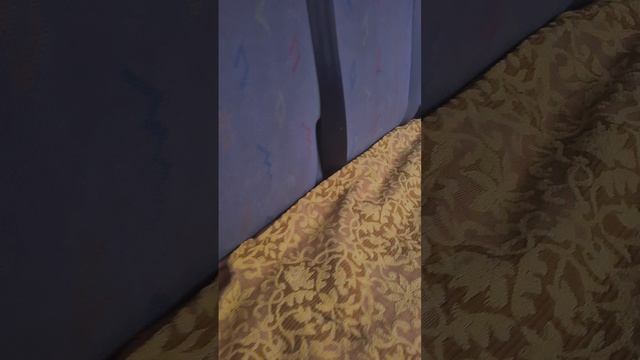 Синий крепыш