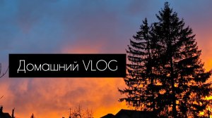Домашний влог