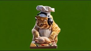 Кот поворёнок_encoded