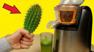 Бедная соковыжималка! Сок из КАКТУСА! Пробую его на вкус! Что если сделать сок Alex Boyko