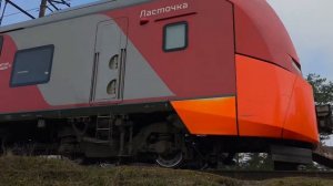 Ласточка на станции 80км