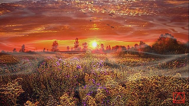 БЛАЖЕННАГО АВВЫ ЗОСИМЫ СОБЕСЕДОВАНИЯ ч14