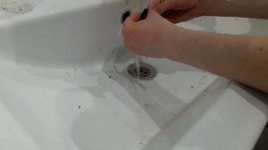 Как я промываю мох для теплицы