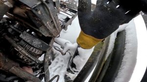 Страус стал мне другом ? Что с трактором ?! ХУТОР В ЛЕСУ №980