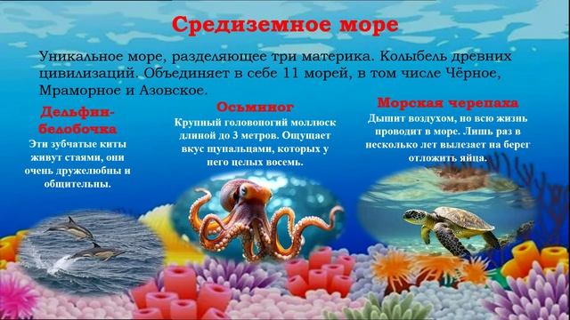 Кто живёт под водой ?