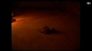 Закулисье Реальности - Русский трейлер ( 2026) Кейн Пиксельс