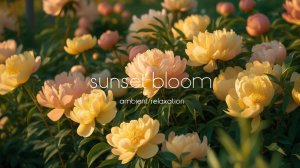 ✧ Спокойная фоновая  музыка для учебы, работы, сна и расслабления | Honeyed Garden