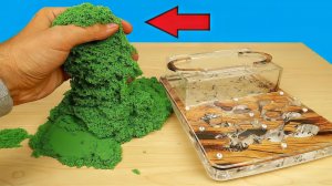 Реакция муравьев на кинетический песок! Почему они это сделали Муха из Китая! alex boyko