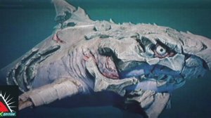 maneater series phonk 2/4 bone set# костяной сет