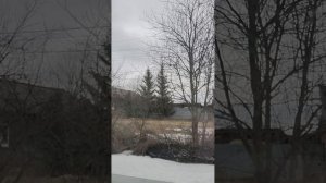 MOV_20260406_130748_18. Бравенькая Ольга,не могу промолчать!