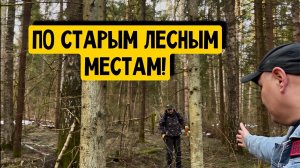 ПО СТАРЫМ ЛЕСНЫМ МЕСТАМ!