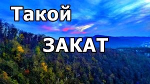 ОБРАТНО ПО ПОДВЕСНОМУ МОСТУ ЧЕРЕЗ УЩЕЛЬЕ. СКАЙ-ПАРК. СОЧИ. 24.11.2025 г.