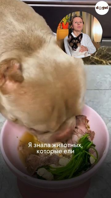 Температура, запах и текстура еды