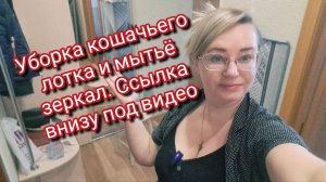 Уборка кошачьего лотка и мытьё зеркал. Ссылка внизу под видео