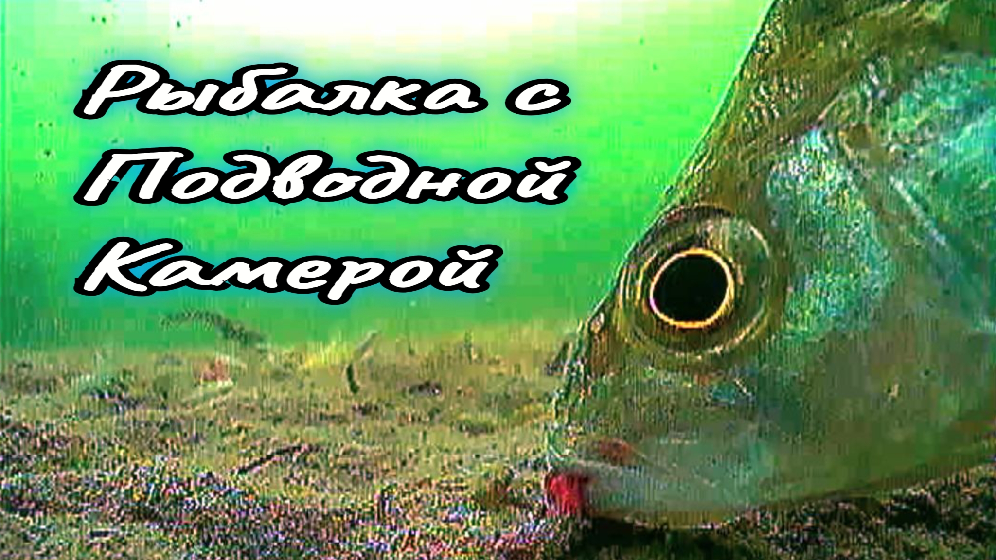 ДВА ДНЯ ХОДИЛ по ВОДОЁМУ, ИСКАЛ РЫБУ, а ПРОБУРИЛ у БЕРЕГА и НАЛОВИЛ ВЕДРО ЦАРСКОЙ РЫБЫ