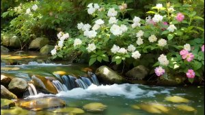 Нежные звуки реки создают умиротворяющую атмосферу, расслабляют тело и способствуют глубокому сну.🌊