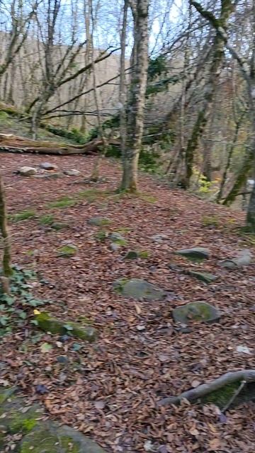 там что-то есть ещё #пшада #дольмены #лес #поход #находка