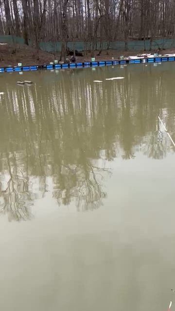 06.04.26 г. РК Волна.