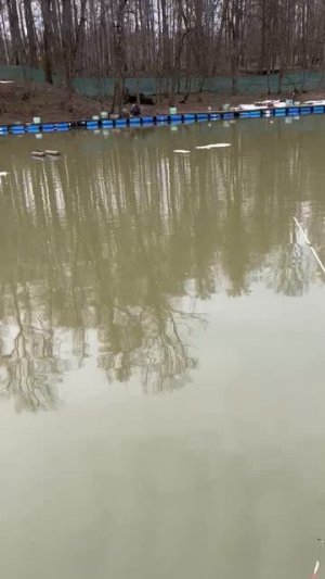 06.04.26 г. РК Волна.