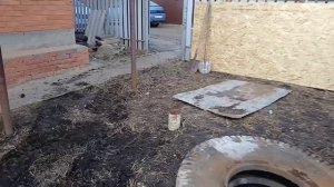 второй день подряд яма под 3 кольца!