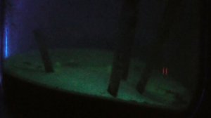 WTh + luminofors on HV 0005