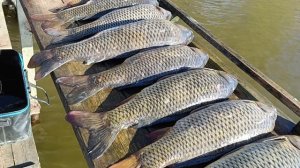 Туляки-чемпионы. 6 апреля.