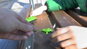 Видео про поезда и железную дорогу - Гуляем и смотрим поезда