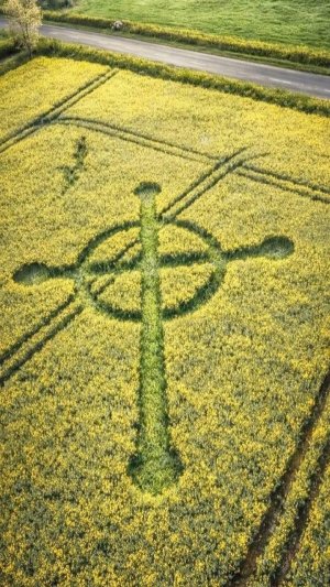 Расшифровка и предсказание первого круга на полях - Вагиф