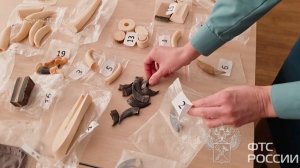 Фрагменты тел редких животных изъяли у пассажира, направлявшегося из Санкт-Петербурга в Китай